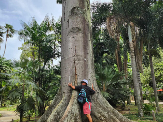 Tours en medellin parqque explora y jardin botanicojpg (5)